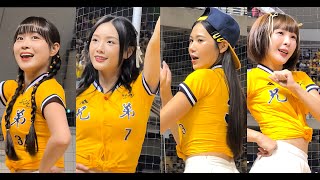 【Passion Sisters】#荷律#林可#君白#盈瑩#峮峮 #畇#黃潮降臨#台湾チアリーディングチーム#中華職棒#CPBL#洲際#20240922（周思齊引退賽）