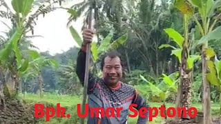 Download lagu Viral 🔵 renungkan nasehat mantan KAPOLDA NTB Bpk. Umar Septono mp3 Download lagu Viral 🔵 renungkan nasehat mantan KAPOLDA NTB Bpk. Umar Septono mp3