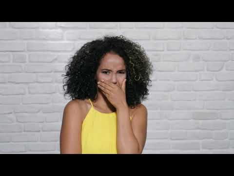 TechTalk: All About Stink Bugs