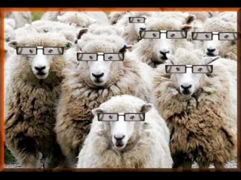 SikKabroN feat. Alina Hirtl (Larry Bird) - Namest Obraza Cifra