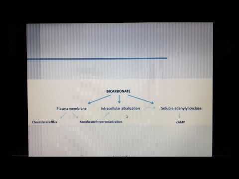 Fertilization part 5