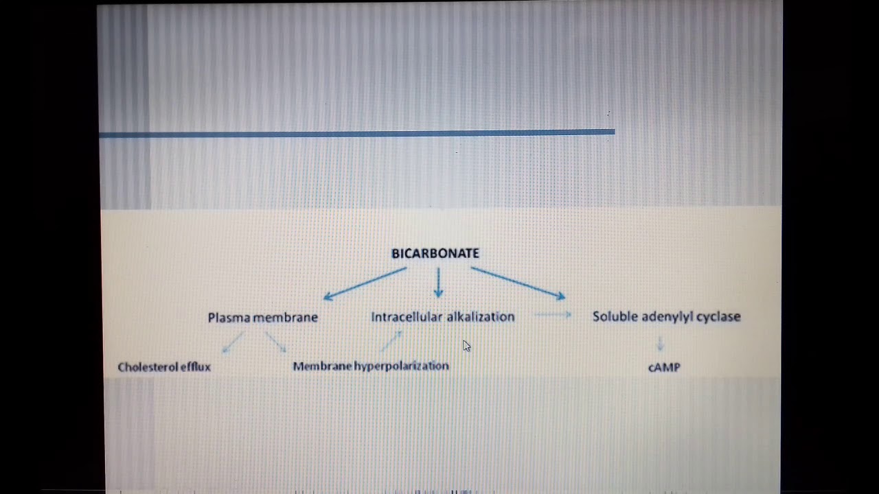 Fertilization part 5