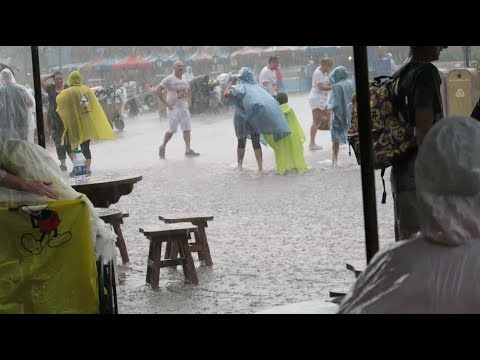 A Stormy Day at the Magic Kingdom (& Tyler's First Time Seeing Happily Ever After!)