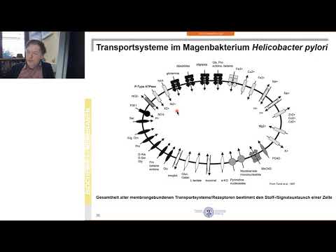 BC1 - Transport durch biologische Membranen