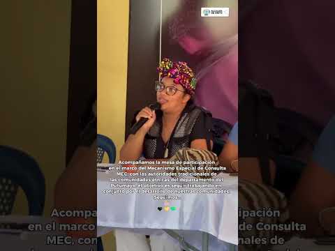 Mesa de Participación en el Marco del Mecanismo Especial de Consulta MEC