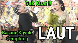 Download lagu Laut Ndak Kuat Musuh sinden Lilis Cak Percil Cs New Sekar Gadung Ki Minto Darsono mp3 Download lagu Laut Ndak Kuat Musuh sinden Lilis Cak Percil Cs New Sekar Gadung Ki Minto Darsono mp3
