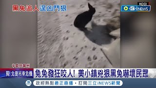 [閒聊] 甘兔庵虐童是真的？