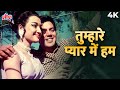 Tumhare Pyaar Mein Hum Shikar Karne Ko Aaye 4K Mohammed Rafi Dharmendra Asha Parekh Shikar