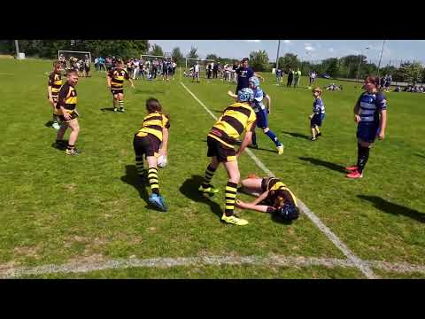 45-lecie Rugby w Siedlcach, RTDiM 19.05.2024 MKR Siedlce II  - Rugby Team Olsztyn (MINI ŻAK)