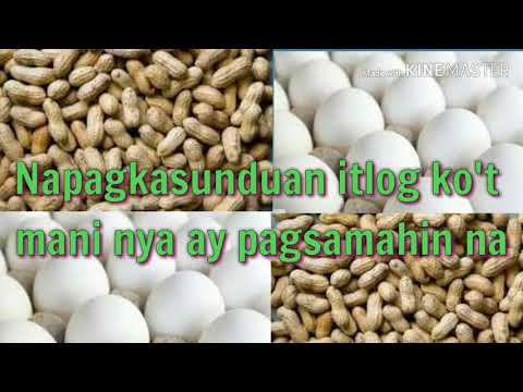 Theme Song ng Tindero ng Itlog at Tindera ng Mani - Big 3 Sullivan's