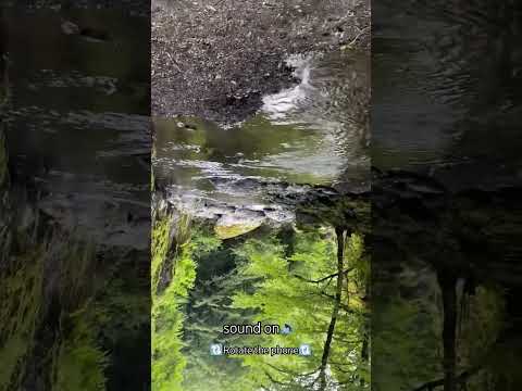 The #secret #beach among the #mountains...... #camping #nature #travel #bushcraft