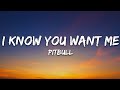 Pitbull I Know You Want Me Calle Ocho Lyrics