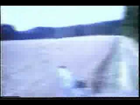 1/37 Armor at Border of Czechoslovakia 1988