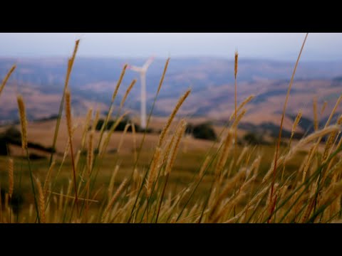 “La rosa dei venti” del DAMS UniSalento, “Best Communication Project” al Prix Italia 2023