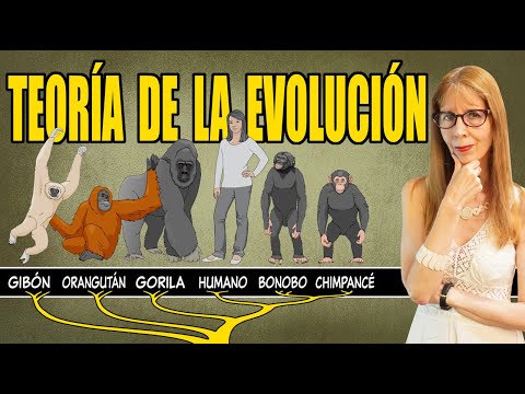 The THEORY of EVOLUTION (explained clearly)