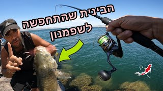הבינית שהתחפשה לשפמנון, דיג בשני נקודות בחופי הכנרת עם מפלצת שמצליחה לבלבל אותי 😄