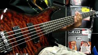 Video thumbnail for Ibanez SR405QM 5-String Bass by universalrenote
