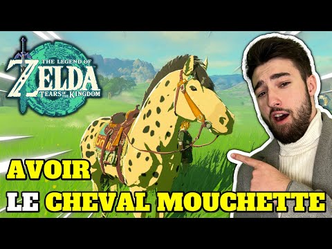 COMMENT AVOIR LE CHEVAL MOUCHETTE SUR ZELDA TEARS OF THE KINGDOM !