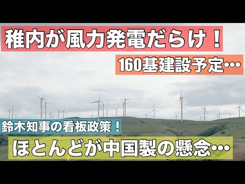 風力発電は地元の食物網を破壊しますか?