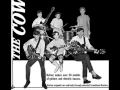 Cowsills - Is It Any Wonder 