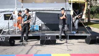 Chapter of Chaos - Never Too Late by Three Days Grace (Cover)