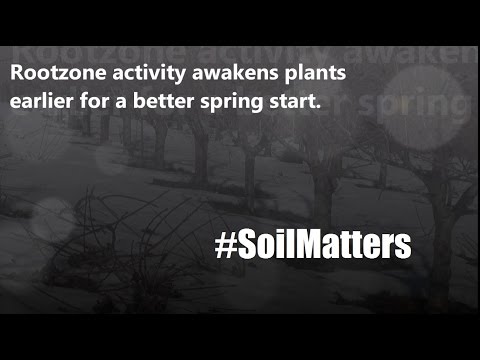 Marc Suderman #339  |  Soil Microbiology and Spring Rootflush  |  3-10-2017