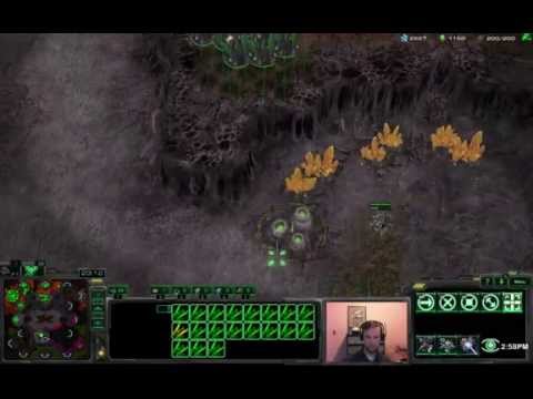 Inferno Pools Mass Raven Build - Diamond TvZ - Starcraft 2 HotS