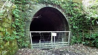 Abandoned Explore : Edlingham Railway Tunnel (Hillhead), UK  (Hidden Industrial Treasure)