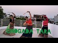 Chogada Tara|Dandiya dance|Navratri dance|Navratri dance choreography|Loveyatri|Dandiya choreography