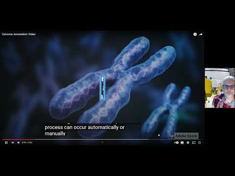 Chapter 21 Genomes and Their Evolution BSC 2010 Fall 2022F 20221120 183440 Meeting Recording