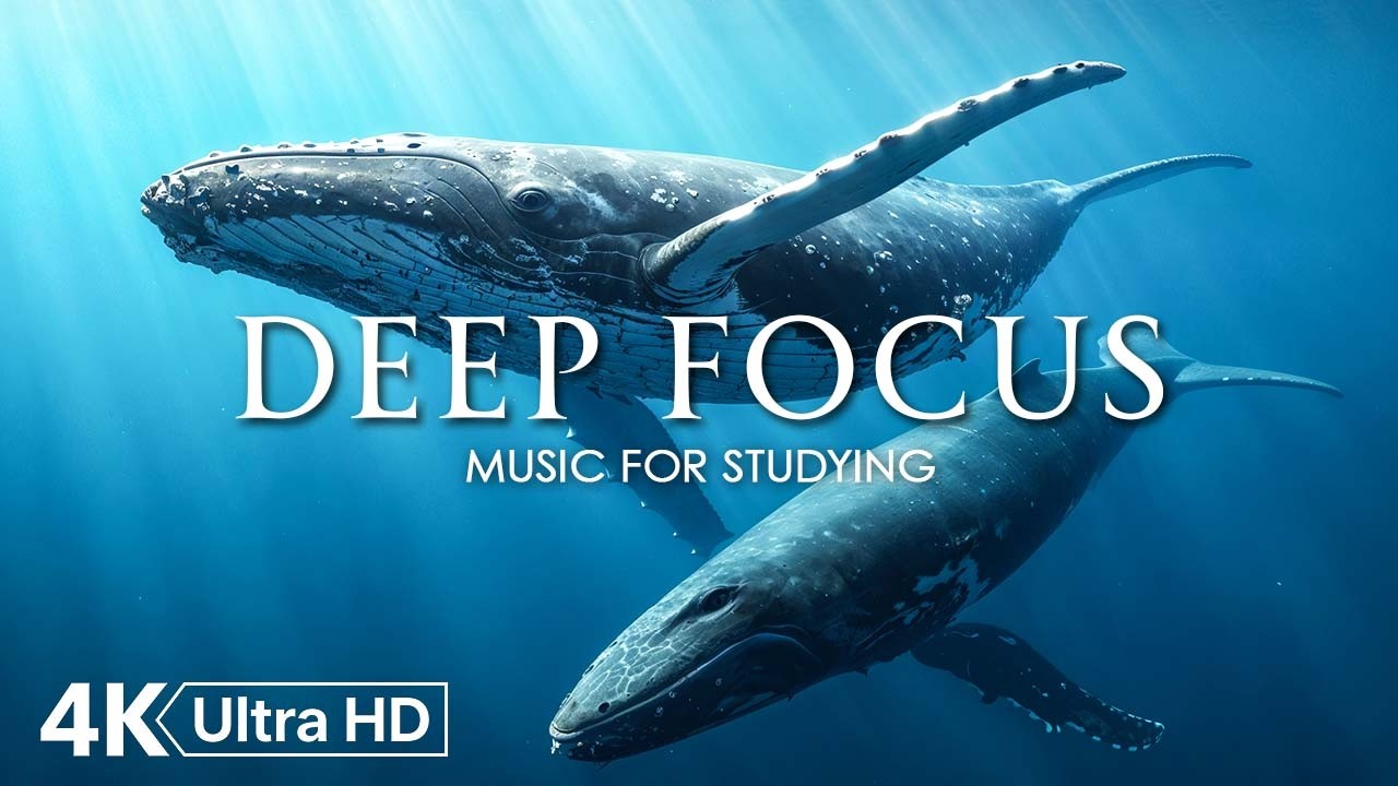 Deep Work Music for Concentration - 12 Hours of Ambient Study Music to Concentrate #74