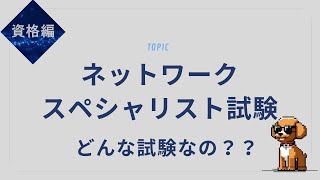 ネットワークスペシャリスト試験の攻略法｜合格のカギと勉強法まとめ