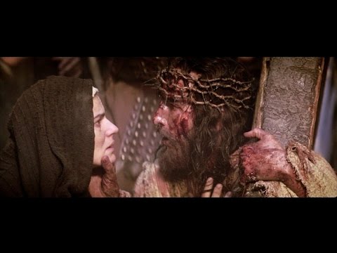 Vê, mãe, eu renovo todas as coisas