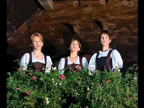 Fuschler Männer Viergesang & Dirndl Dreigesang - Dianei hast di heit scho schlafn glegt 2004
