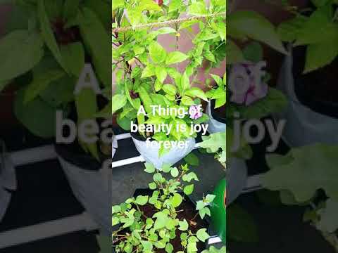 #sustainable living #