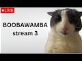 BOOBAWAMBA 57 55 36 86 64 100 STREAM 3 TUNG TUNG GOD