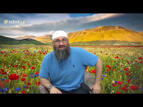 Tumačenje sna pomoću sanovnika - Elvedin Pezić