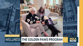 About You In Home Care helps provide companionship with Golden Paws Program