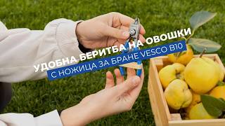 Vesco B10 - фина ножица за беритба и резитба | До 5 мм клонки