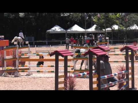 Grafee Torneio Verao 7 anos final