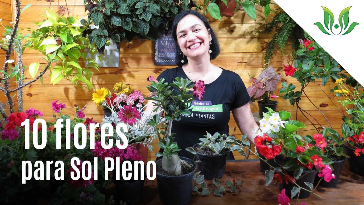 10 Flores para Sol Pleno!