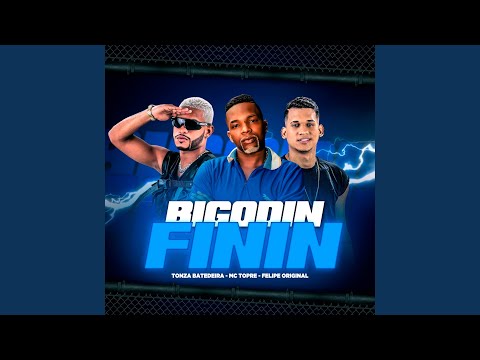 Bigodin Finin