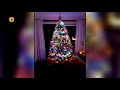 Brabantse Kerstbomen in beeld.