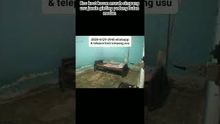 Download lagu kos kost kosan murah simpang usu jamin ginting padang bulan medan. #viralreelschallenge  #teeks #fyp mp3