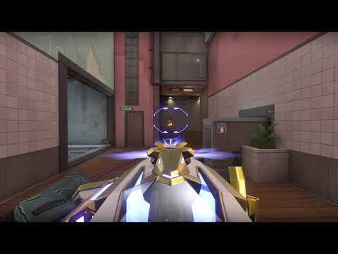 Valorant Prime 2 Odin Lv3