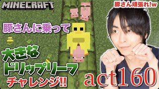 【マインクラフト】大きなドリップリーフの上を豚さんにまたがって歩けるのか検証してみた!!w 無事に渡り切ることはできる?【セイハのセハクラ実況act160】