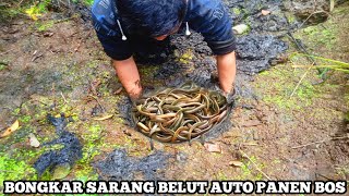 Download lagu Catching Eels with Your Bare Hands Will Automatically Harvest Big Eels, Boss! mp3