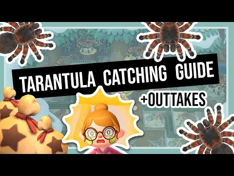 How to Catch TARANTULAS Easily and Make Money FAST 💰 | + Funny Fails (outtakes) | Animal Crossing