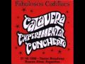Los Fabulosos Cadillacs - A Amigo J.V. (Calavera Experimental Concherto)