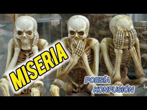 ⚠️MISERIA😡|#Poesíakonfusión✍️🎶🎤